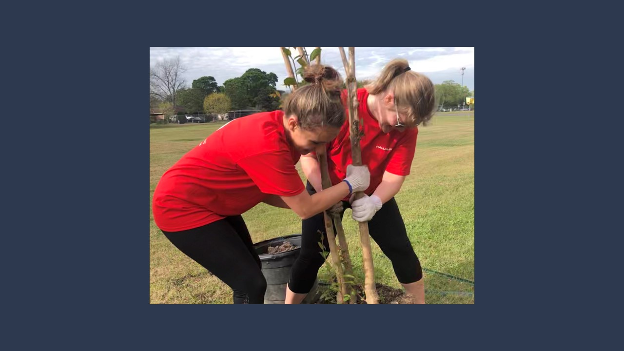 Volunteers and their families teamed up with Trees for Houston to plant trees at a local elementary school.